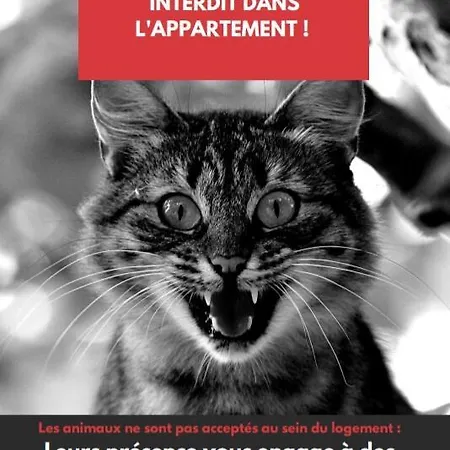 Lejlighed Le Cocon Annecien Annecy
